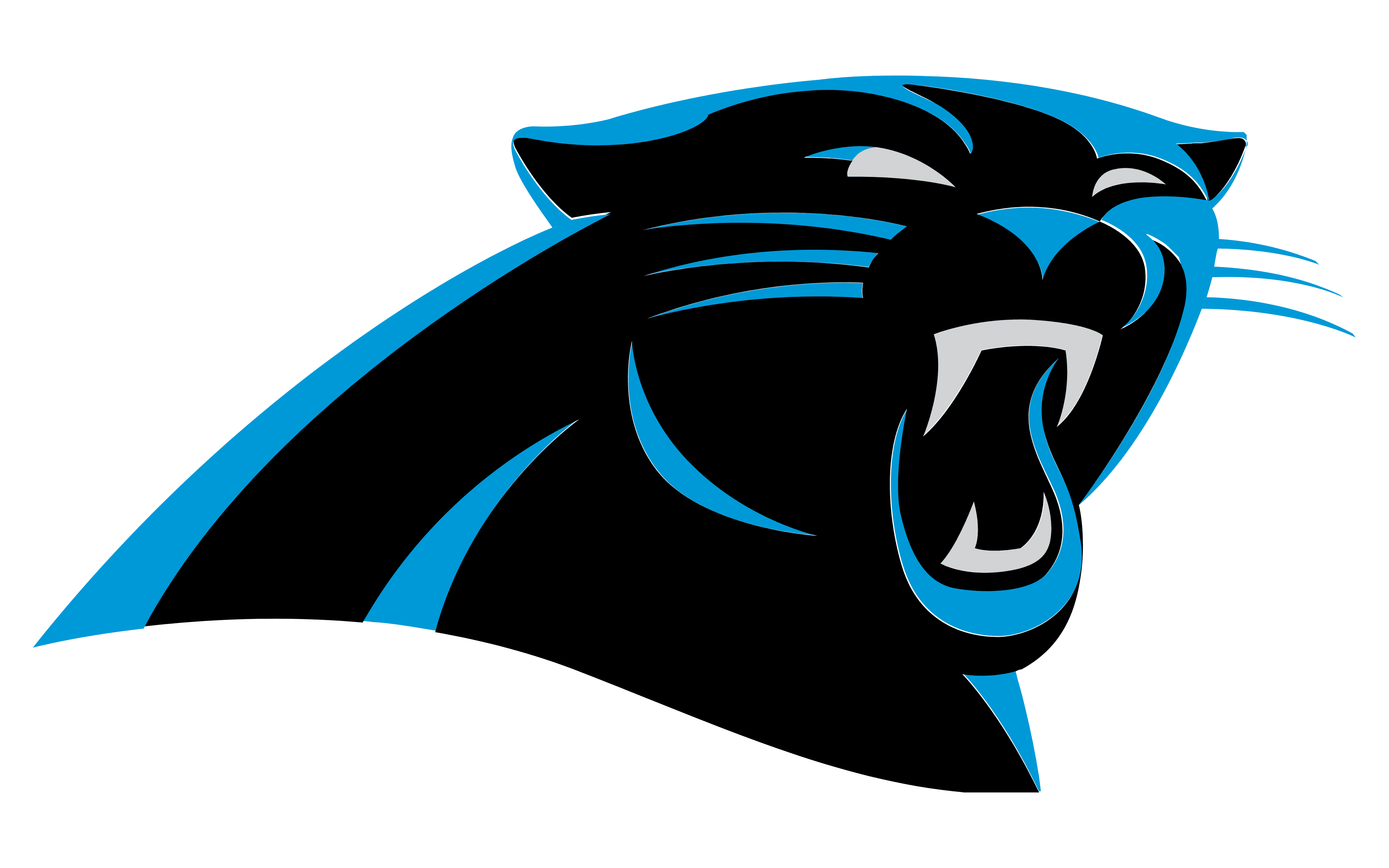 Carolina Panthers Logo and symbol, meaning, history, PNG, brand
