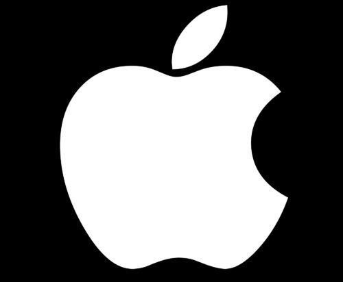 Apple Logo Grey