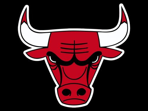 chicago bulls emblem