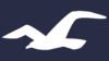 Hollister Logo and symbol, meaning, history, PNG, brand