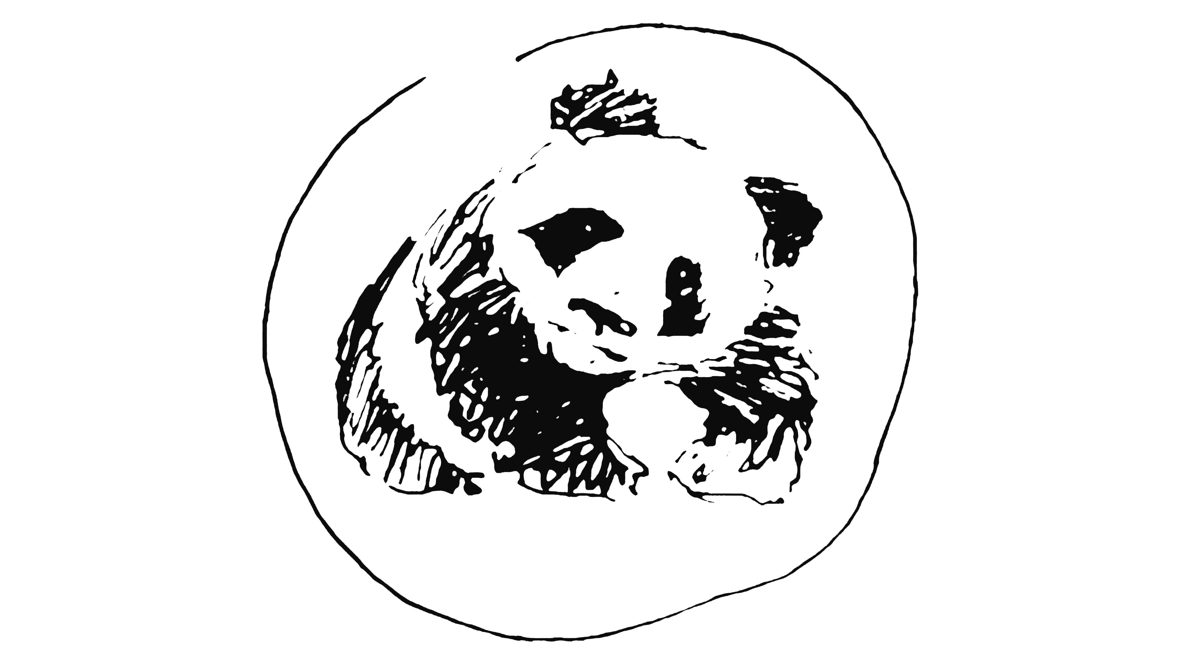 Wwf Logo And Symbol Meaning History Png Brand
