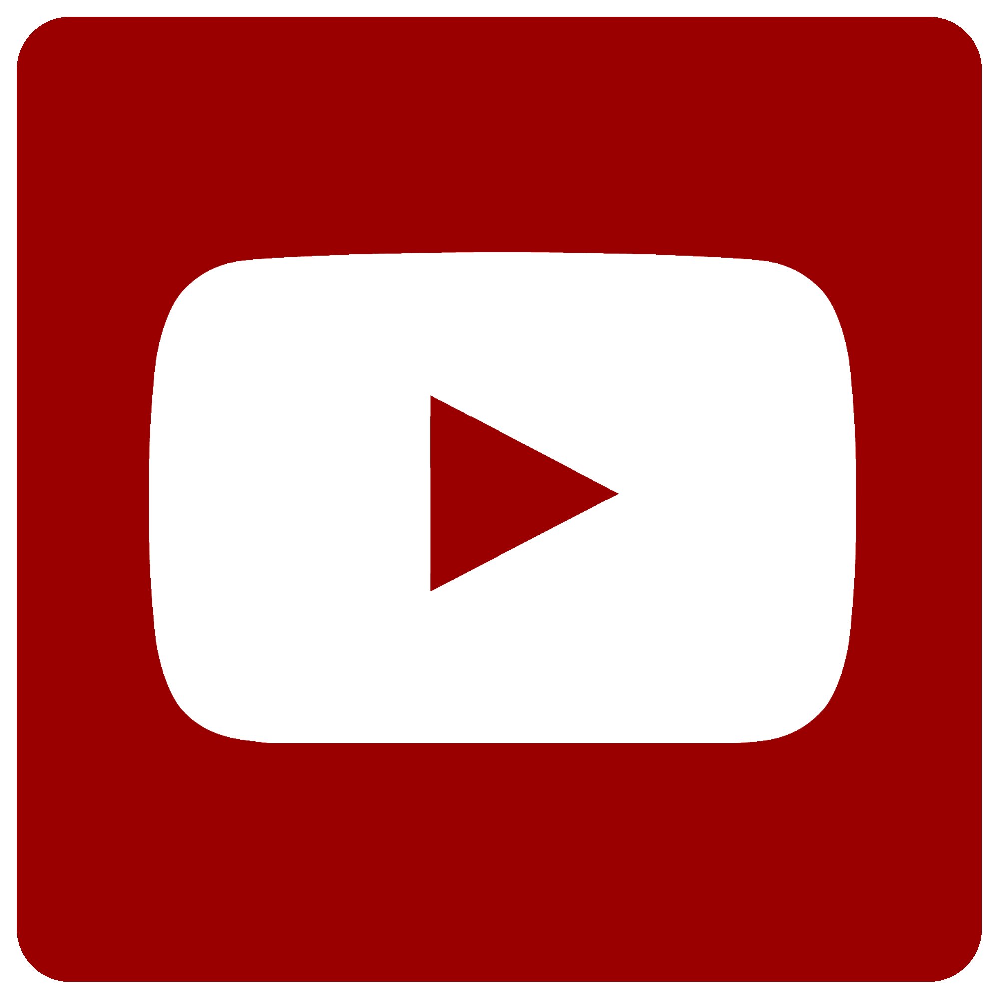 Official Youtube Logo Icon