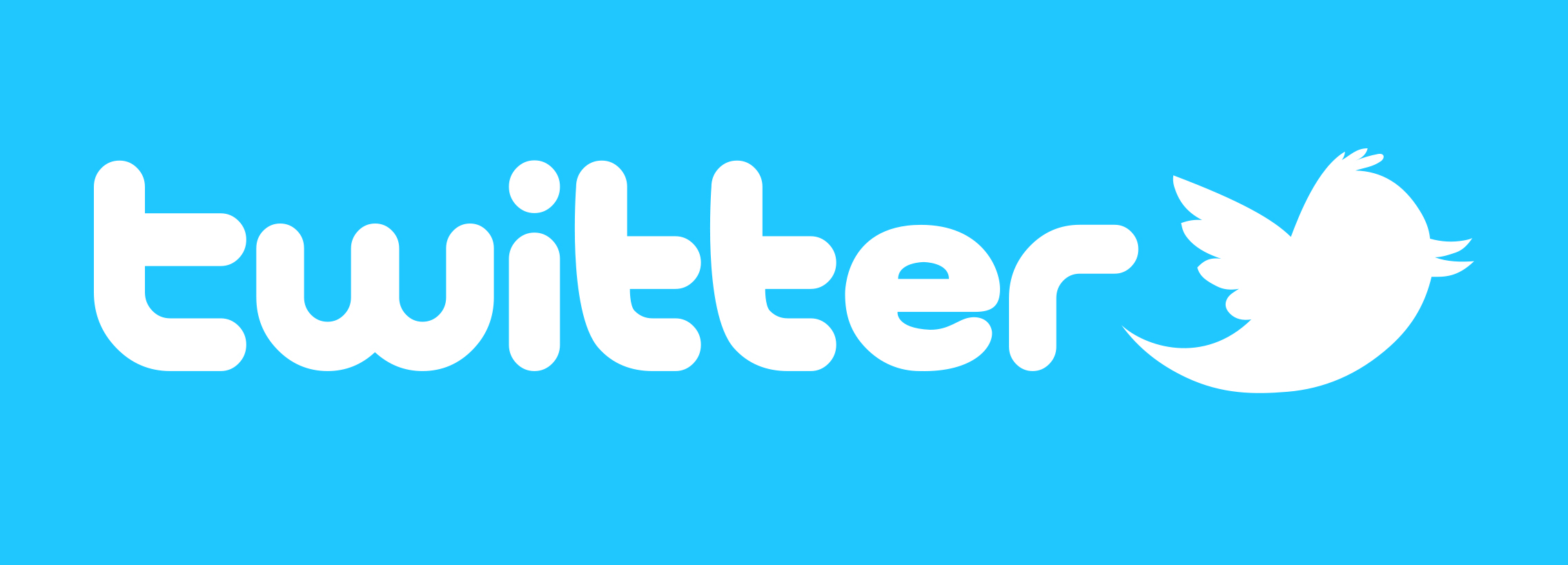 official twitter logo