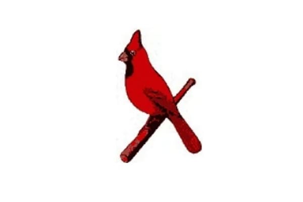 Bird On Baseball Field MLB St Louis Cardinals Logo India