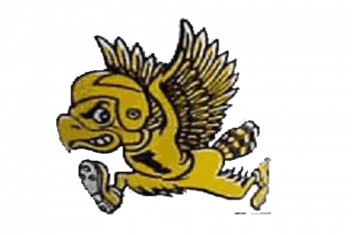Iowa Hawkeyes Logo 1962