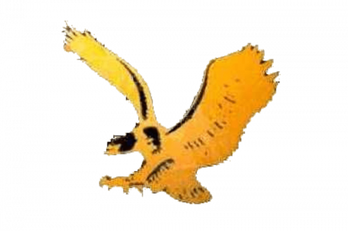Iowa Hawkeyes Logo 1971