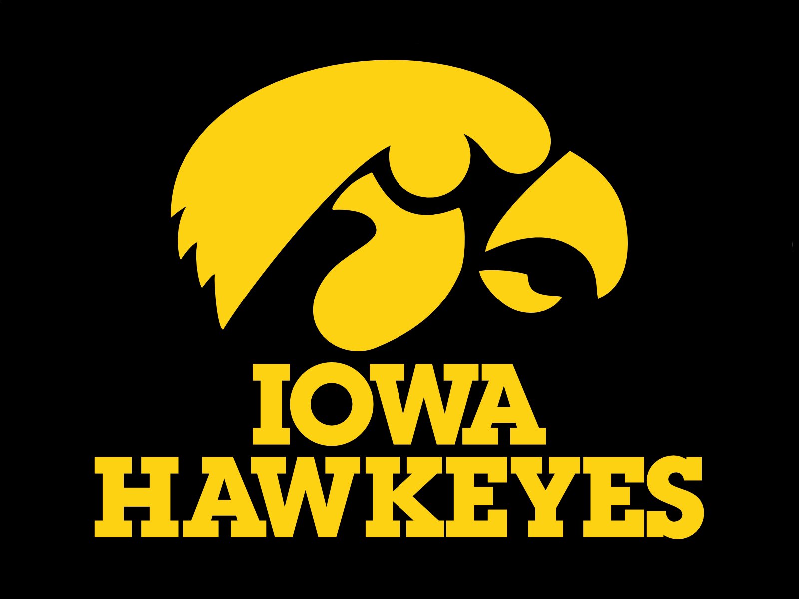 Iowa Hawkeyes Logo and symbol, meaning, history, PNG, brand