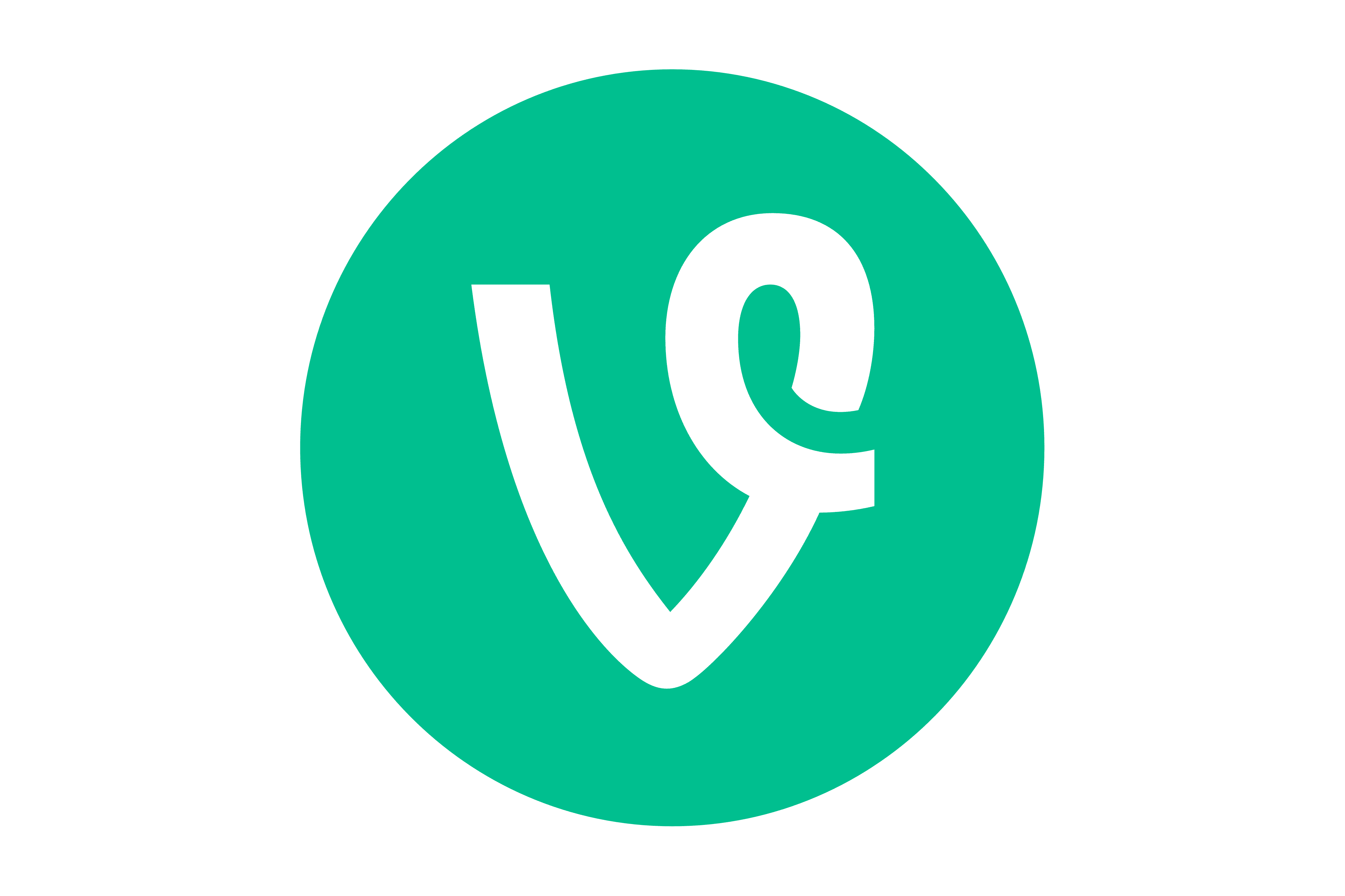 vine transparent logo