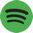 Spotify icon 2
