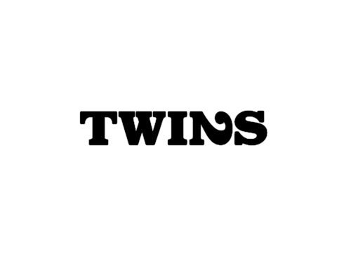 Twins logo