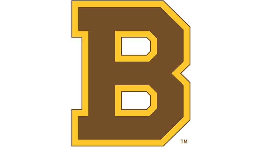 New Alternate Boston Bruins Logo  Boston bruins, Boston bruins