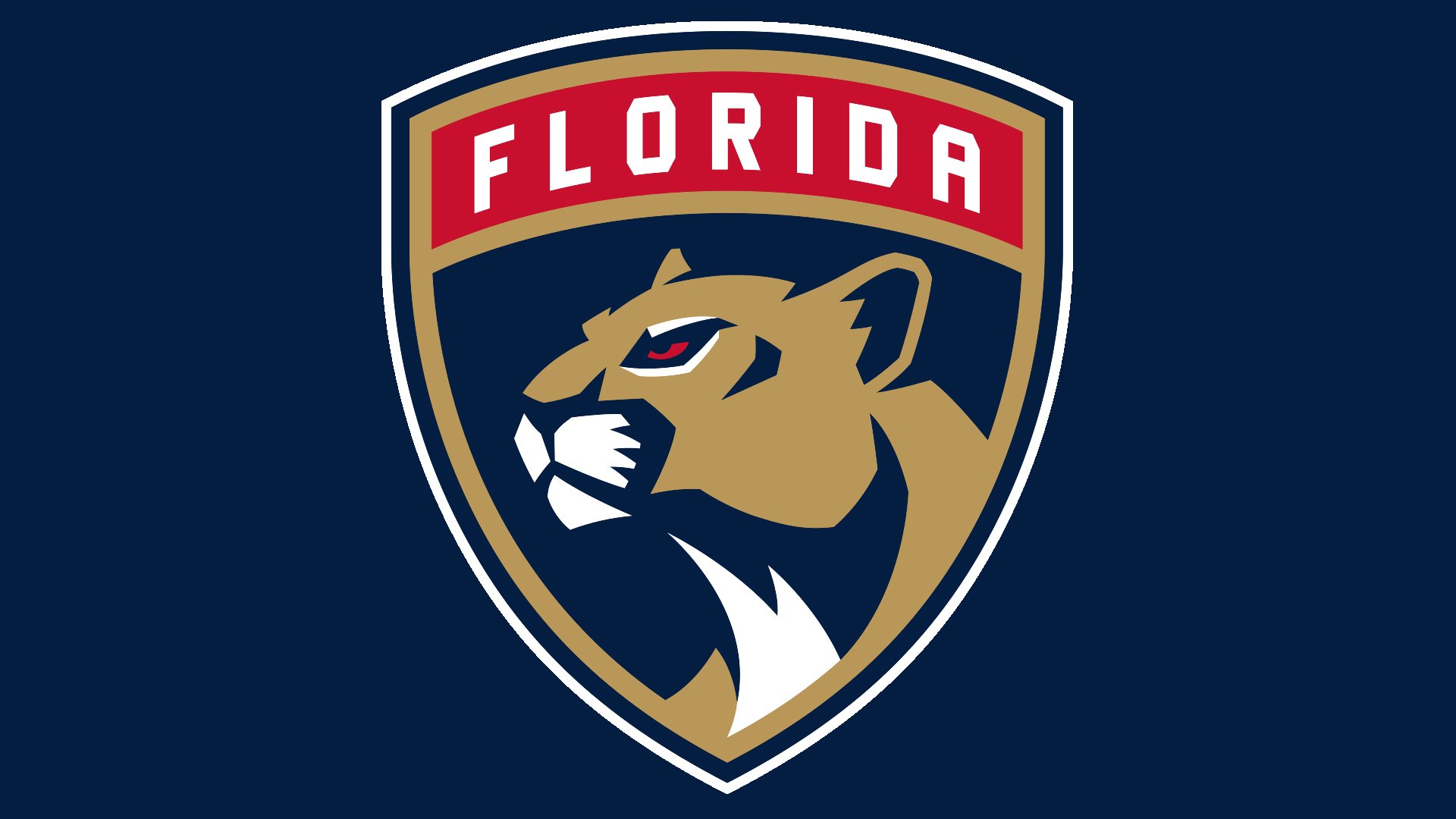 Florida Panthers Alternate Logo History