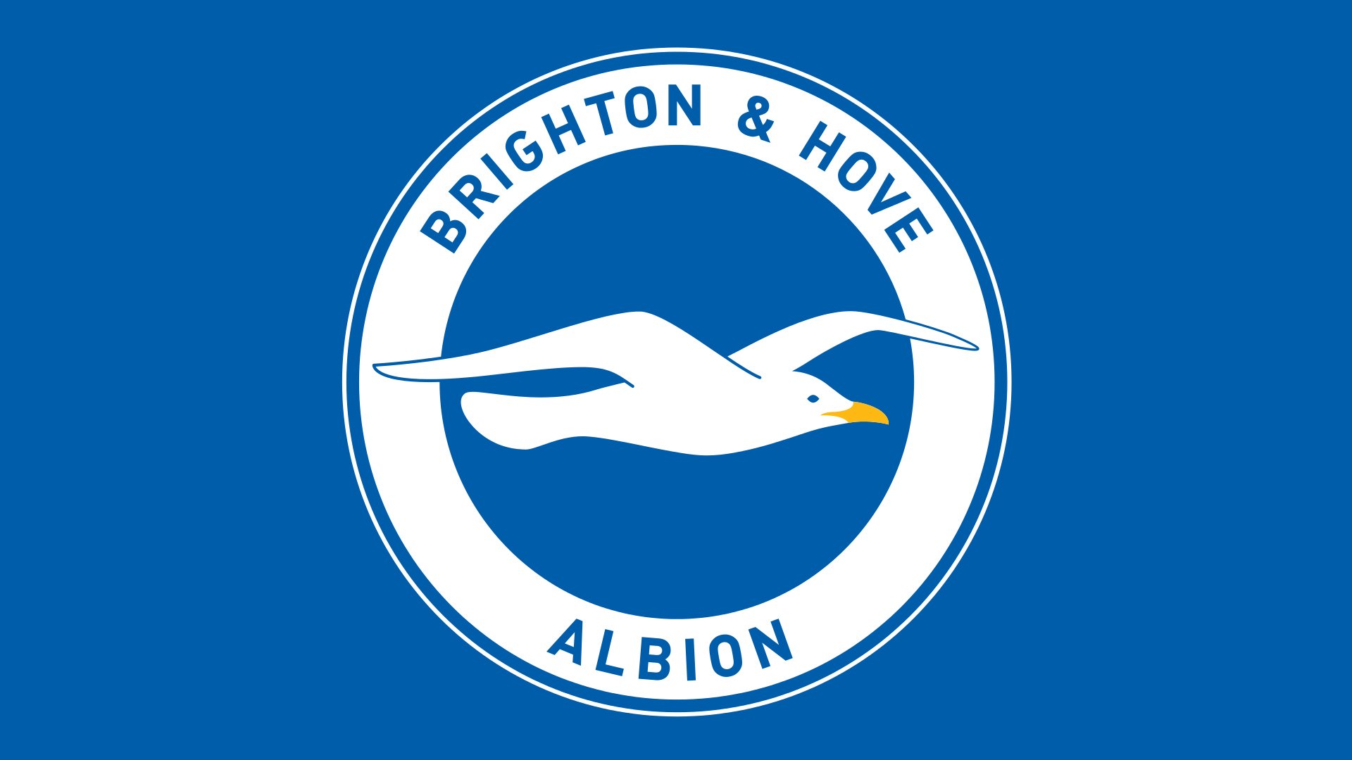 Brighton & Hove Albion F.C. Logo Color Scheme » Blue »