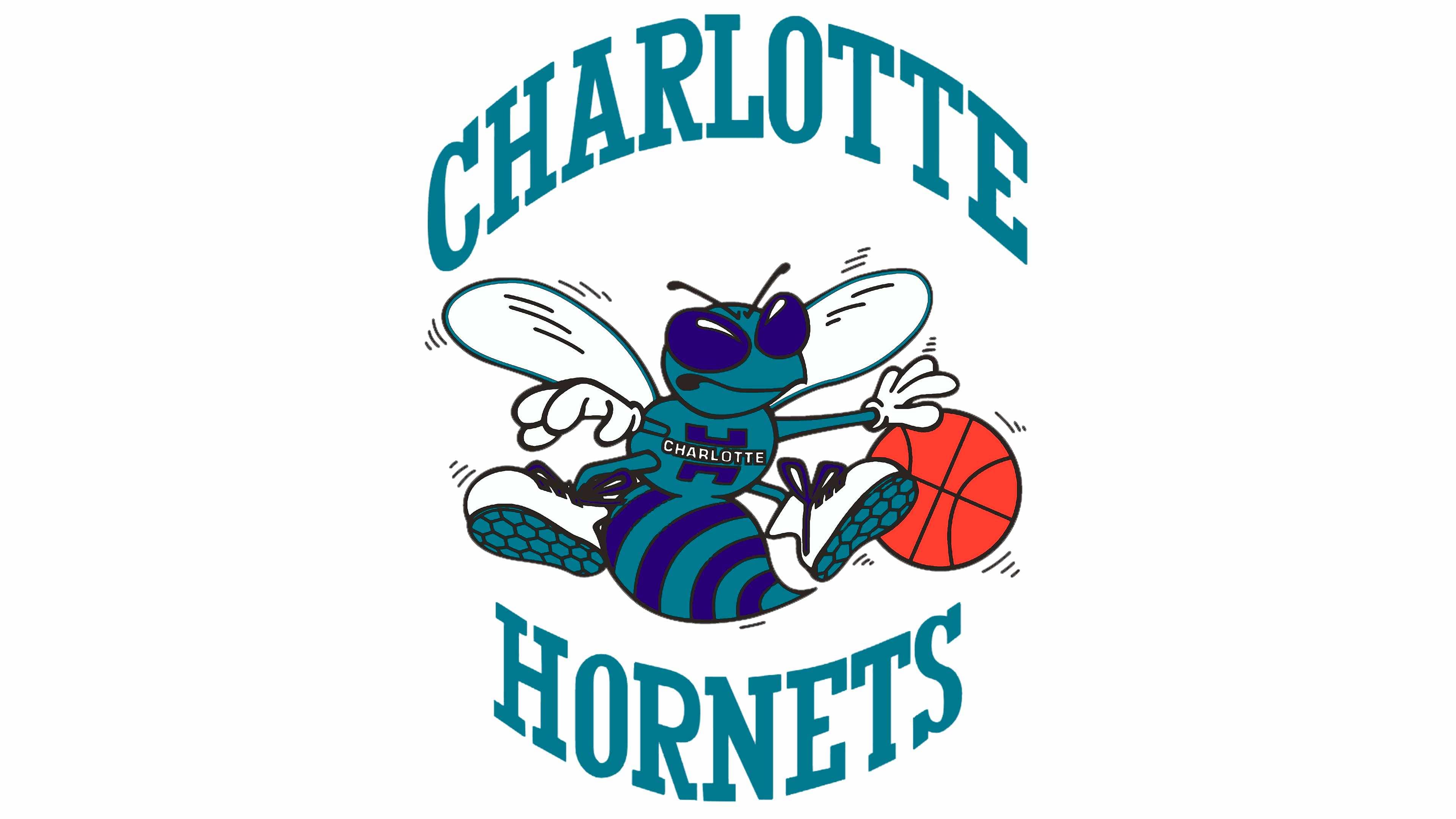Graphic Language: The Bee's Knees: Charlotte Hornets 2014 Identity