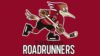 Tucson Roadrunners Logo and symbol, meaning, history, PNG, brand