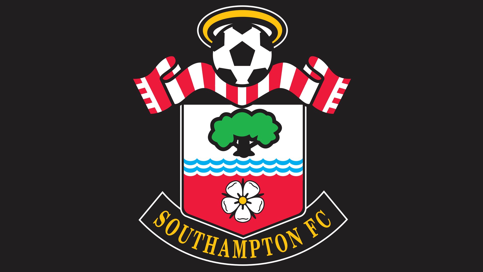 Southampton Logo And Symbol Meaning History Png