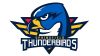 Springfield Thunderbirds Logo and symbol, meaning, history, PNG, brand