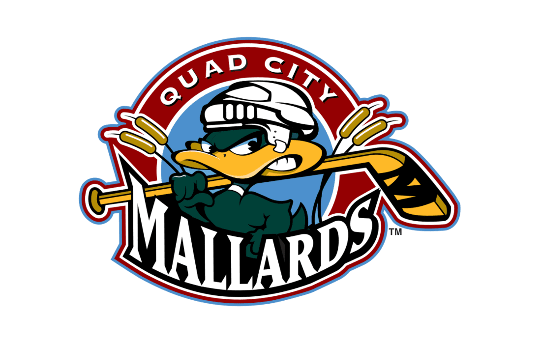 quad city mallards — Concepts —