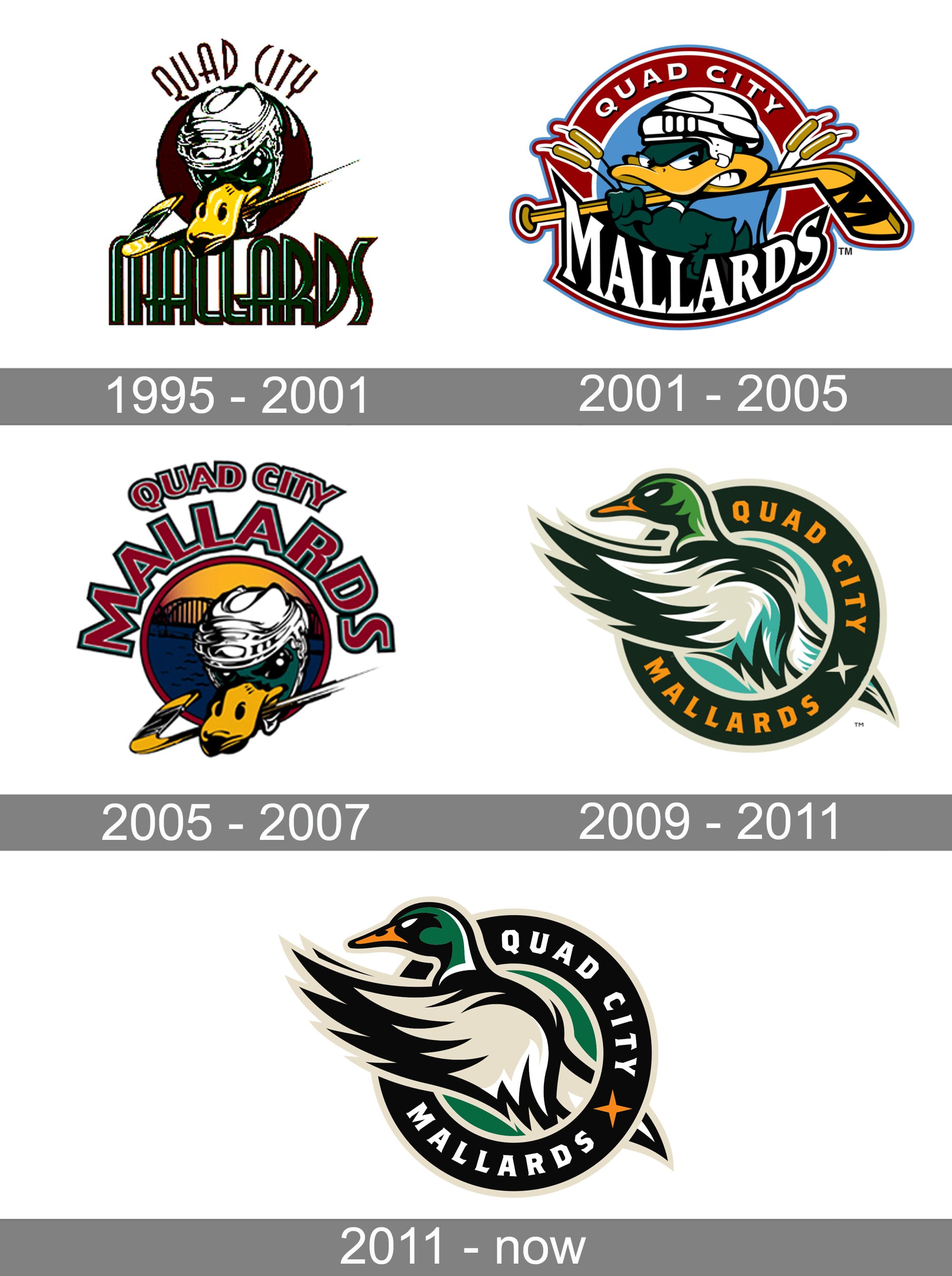 Quad City Mallards Logo and symbol meaning history PNG brand