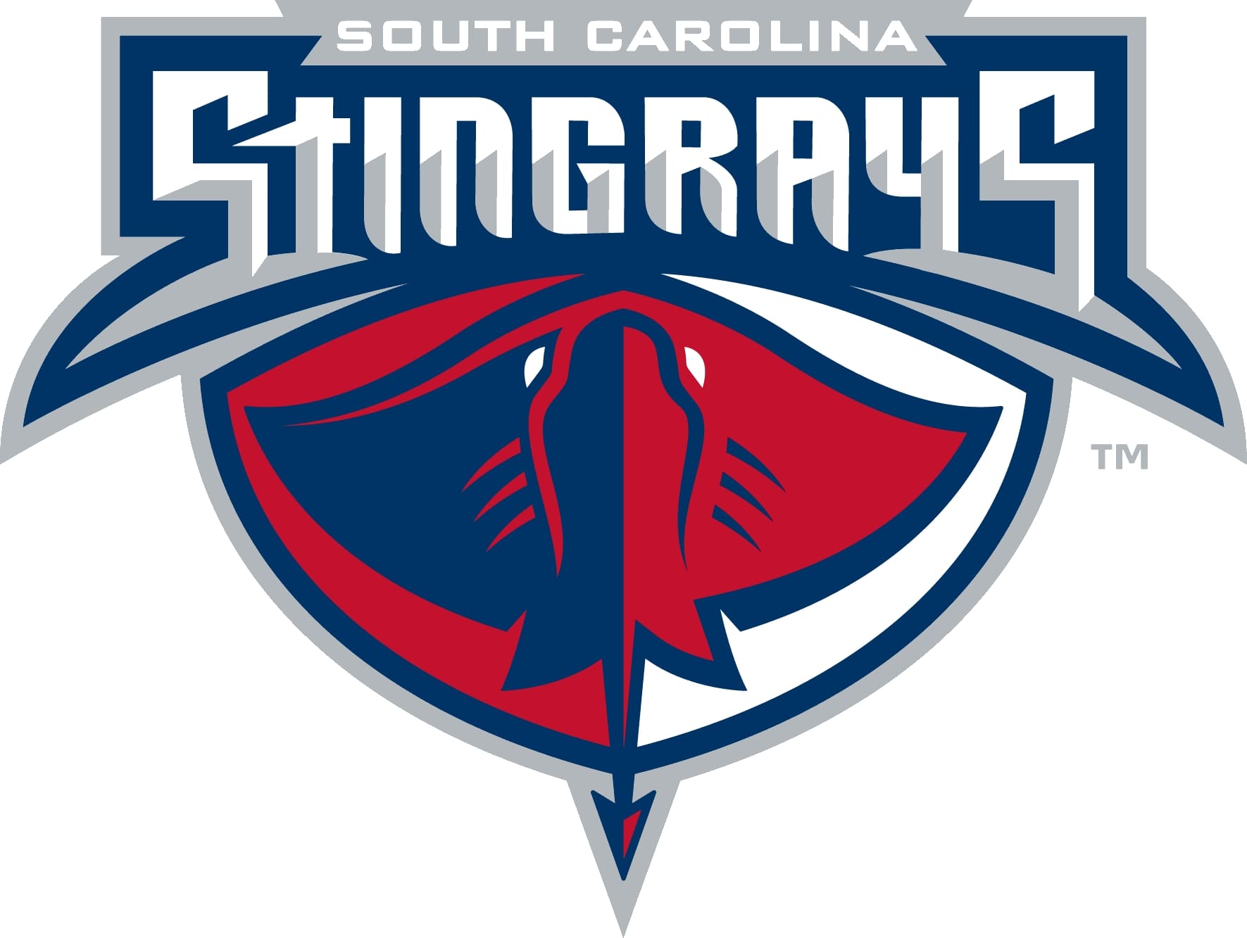 Ladson kid wins South Carolina Stingrays logo design for charity