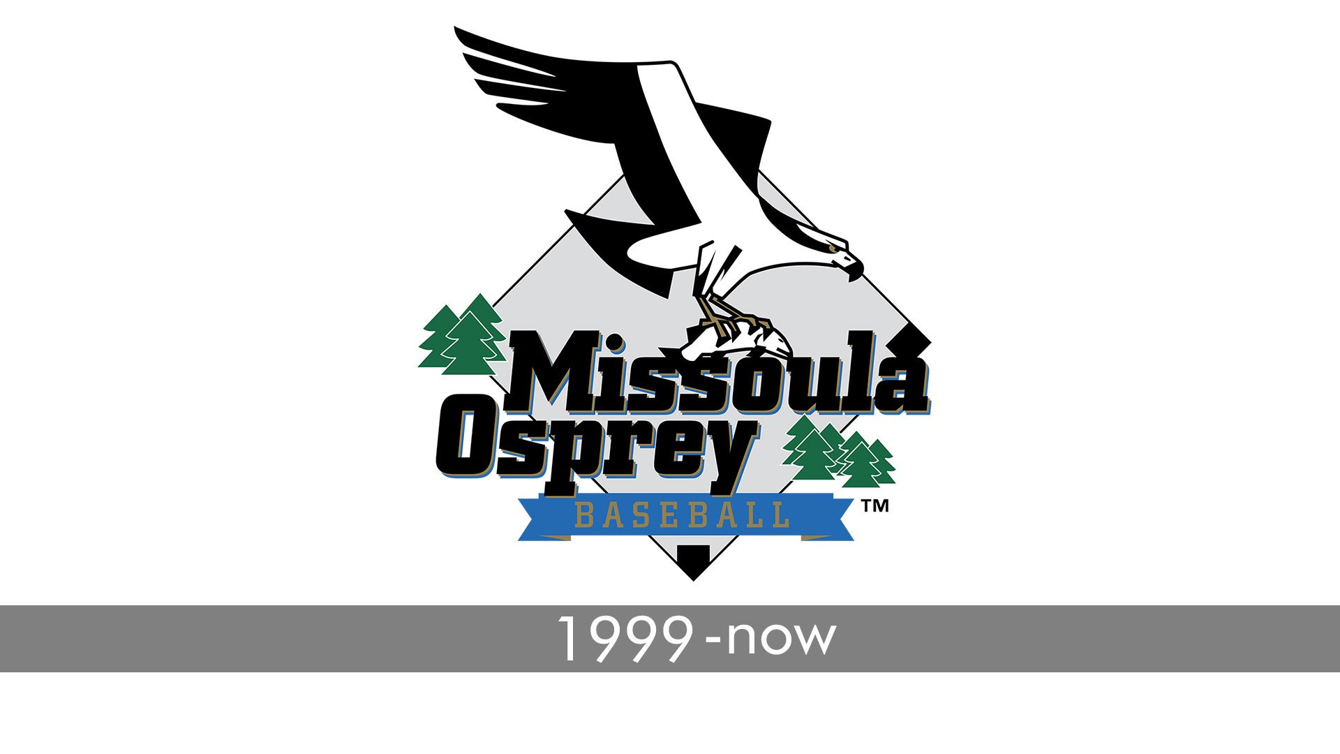 Missoula Osprey Logo and symbol, meaning, history, PNG, brand