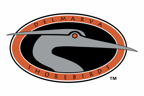 Delmarva Shorebirds Logo 1996