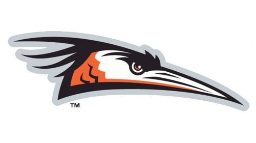 Delmarva Shorebirds logo