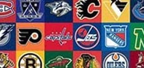 The most popular Hockey logos and brands