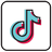 TikTok Logo icon