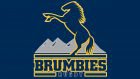 Brumbies Logo and symbol, meaning, history, PNG, brand