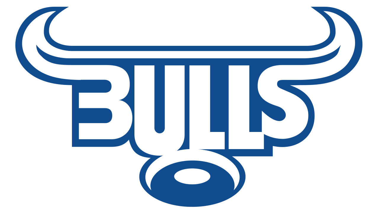 Bulls Logo And Symbol Meaning History Png