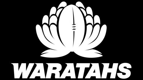 New South Wales Waratahs logo rugby