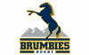 Brumbies Logo and symbol, meaning, history, PNG, brand