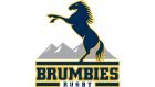 Brumbies Logo and symbol, meaning, history, PNG, brand