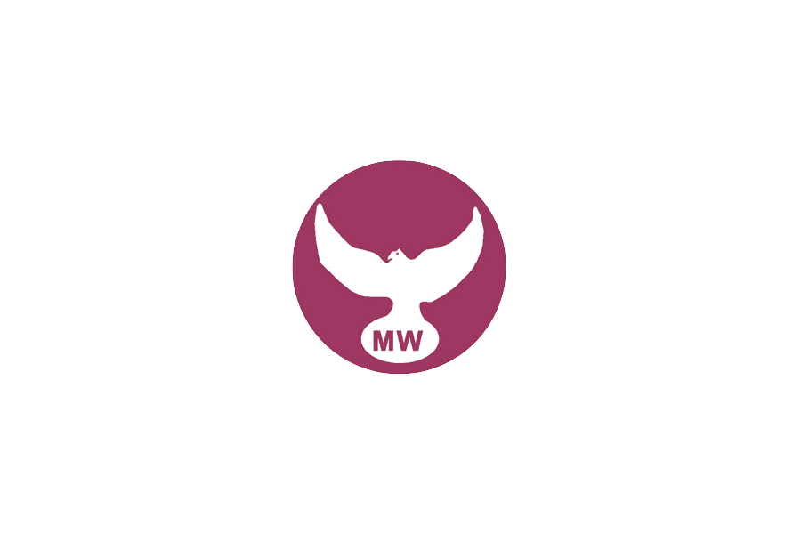 Manly Warringah Sea Eagles Logo And Symbol Meaning History Png