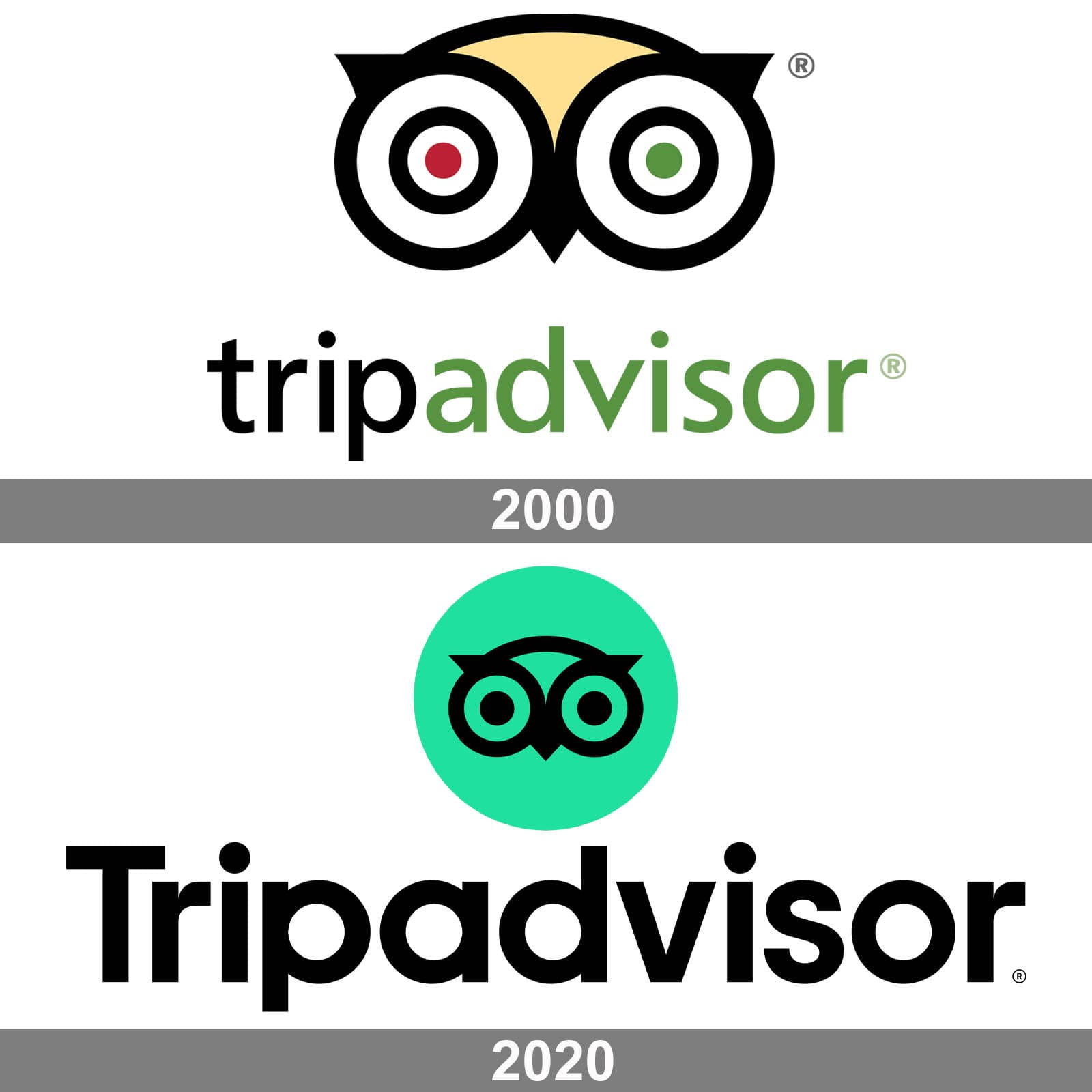tripadvisor tourist guide