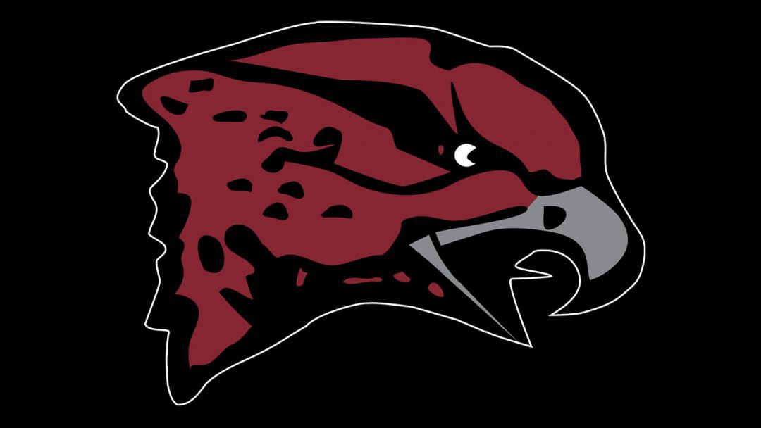 Maryland-Eastern Shore Hawks Logo and symbol, meaning, history, PNG, brand