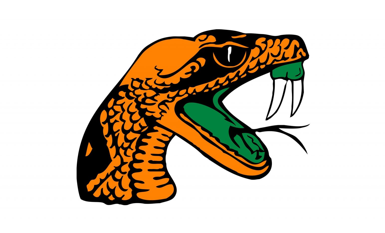 florida-a-m-rattlers-logo-and-symbol-meaning-history-png-brand