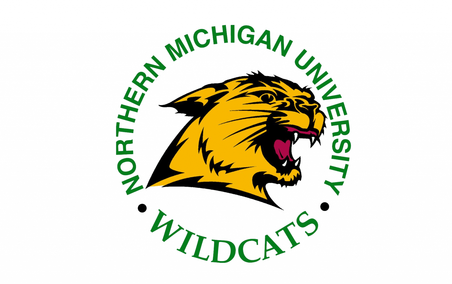 Northern Michigan Wildcats Logo and symbol, meaning, history, PNG, brand