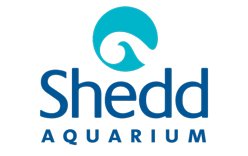 Shedd Aquarium Logo
