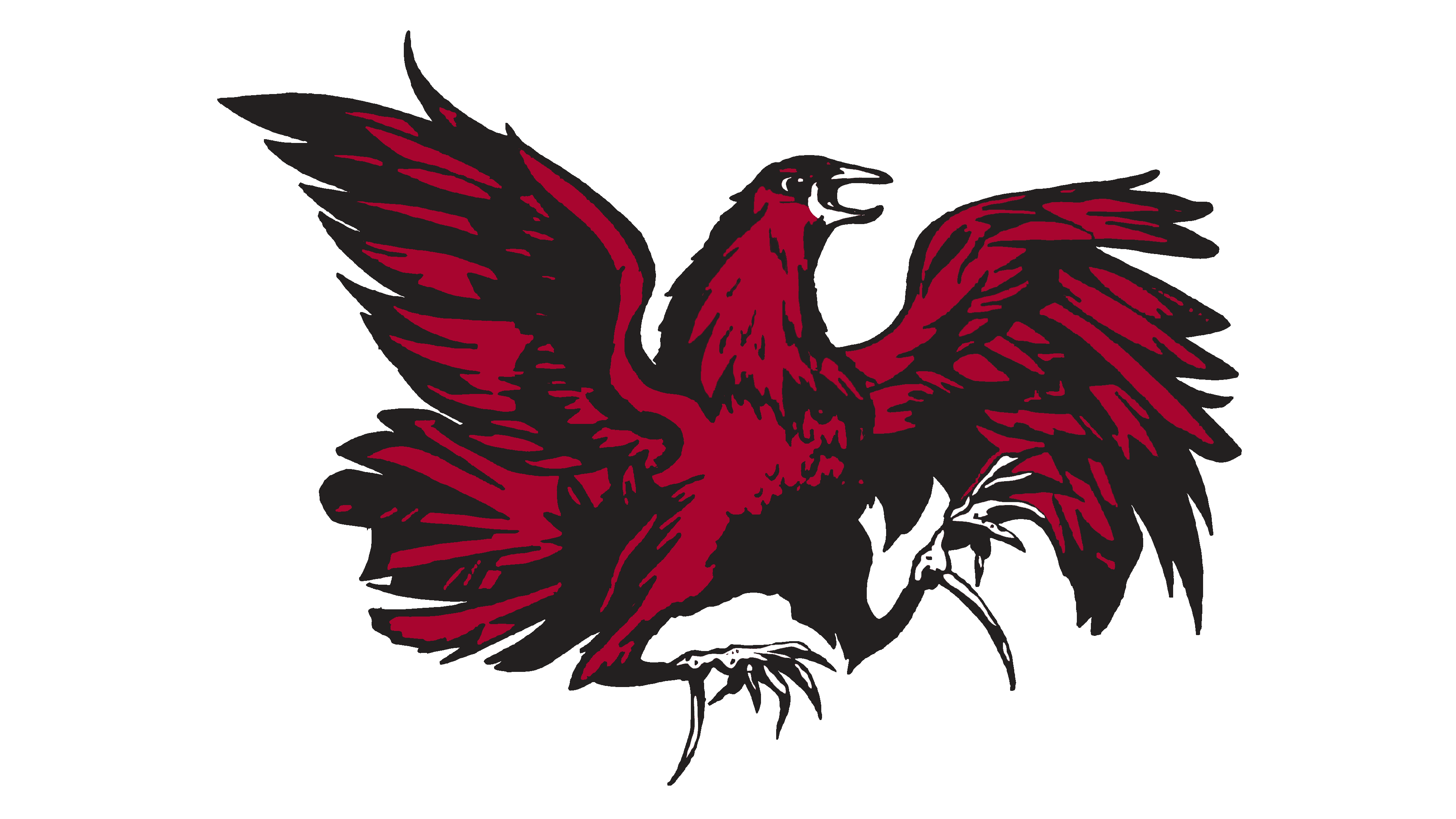 South Carolina Gamecocks Logo 1975