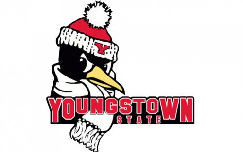 Youngstown State Penguins Logo-1993