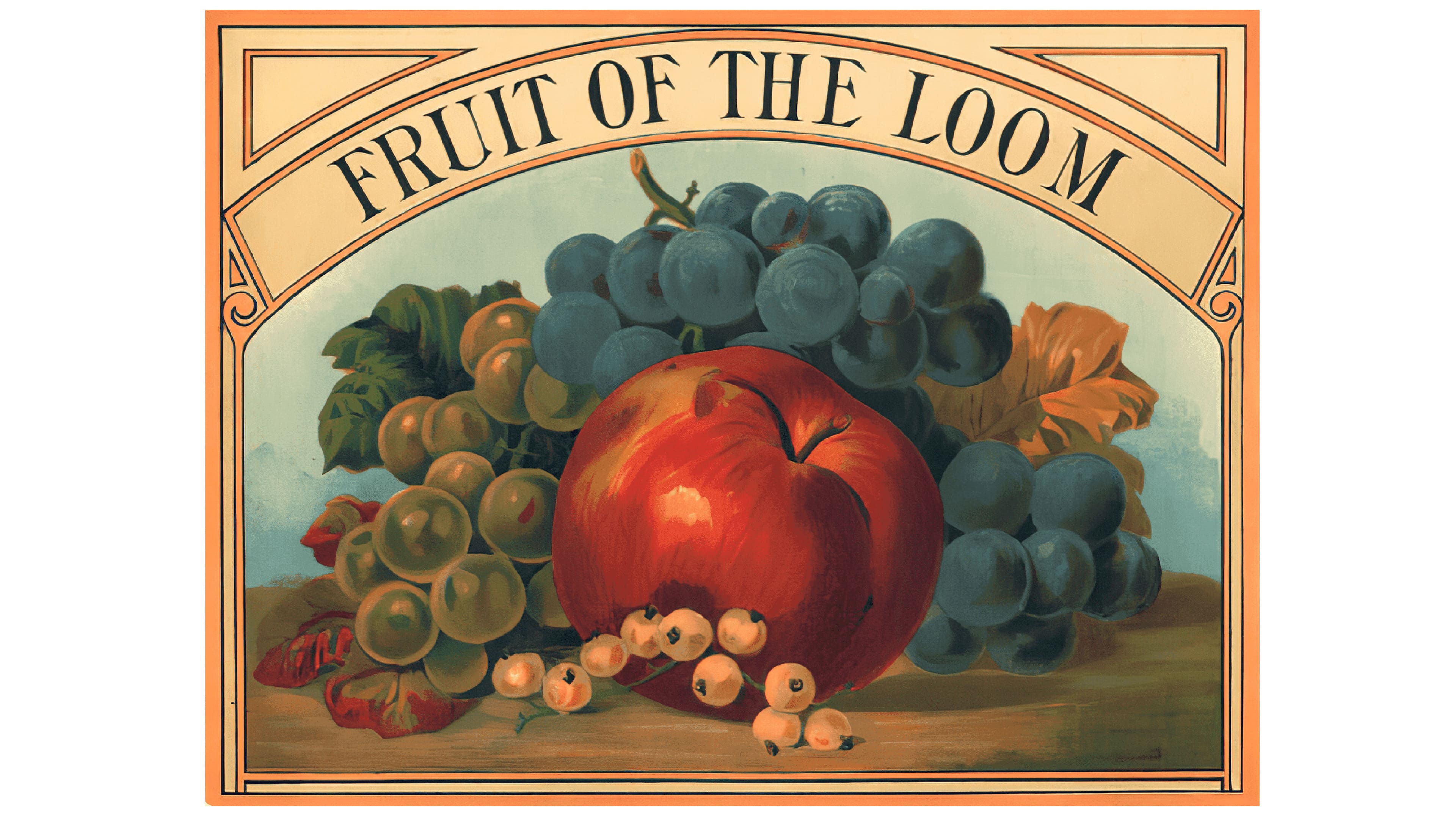 Fruit of the Loom Logo and symbol, meaning, history, PNG, brand