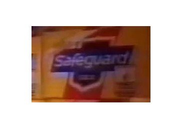 Safeguard Logo-1987