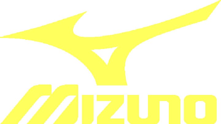 mizuno logo meaning