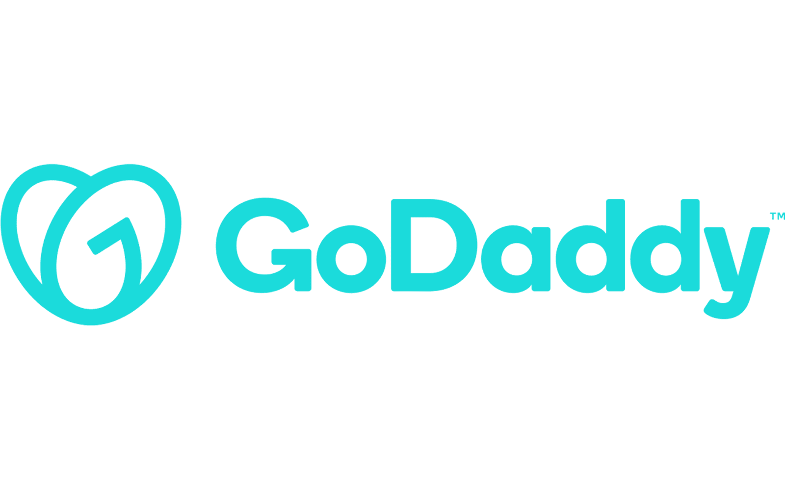 GoDaddy Logo And Symbol Meaning History PNG