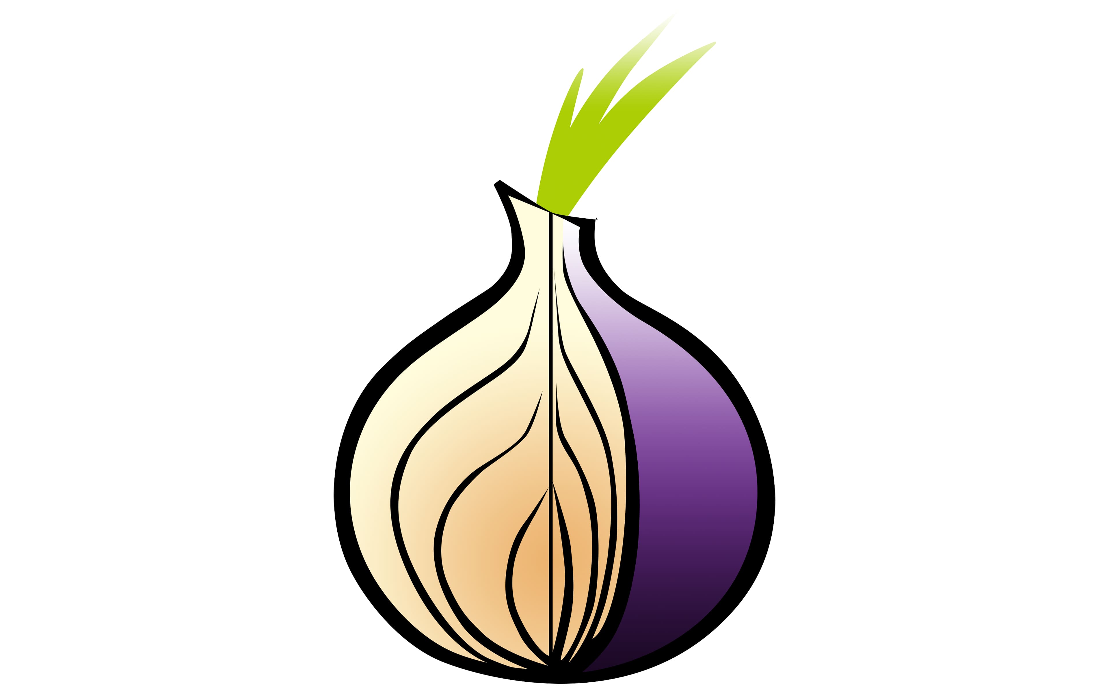 Tor logo and symbol, meaning, history, PNG