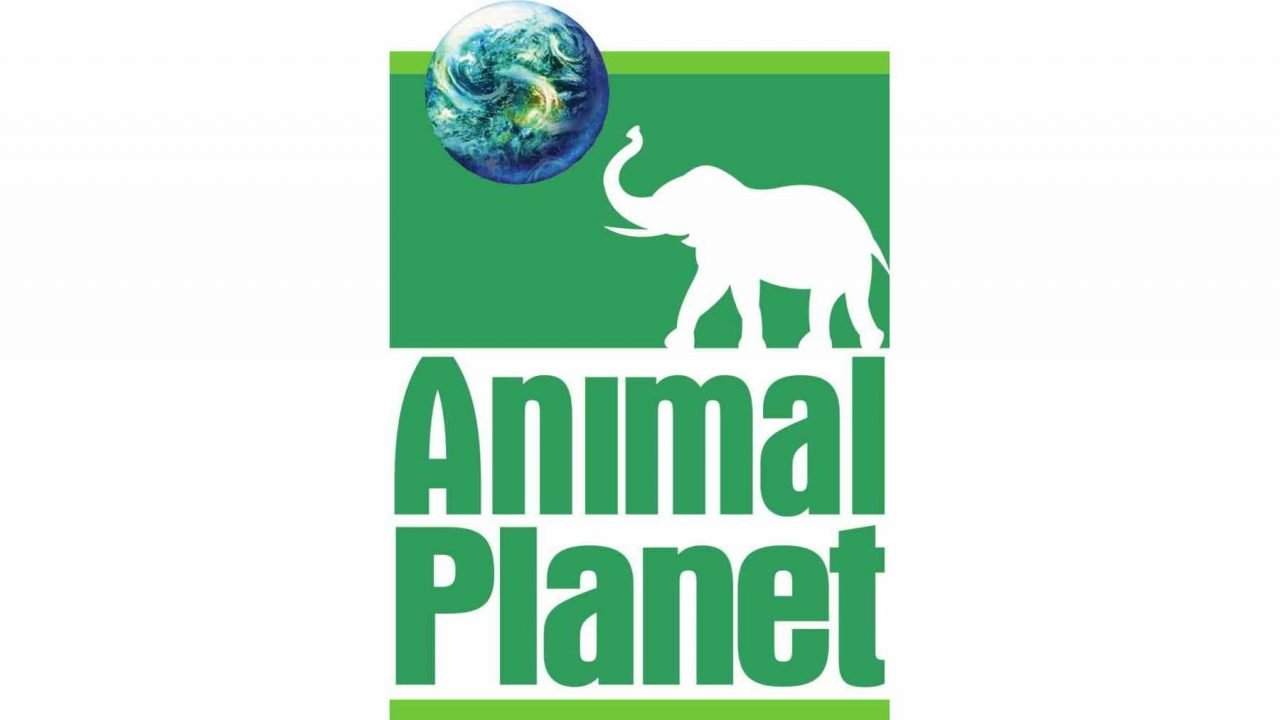 Animal Planet logo and symbol, meaning, history, PNG