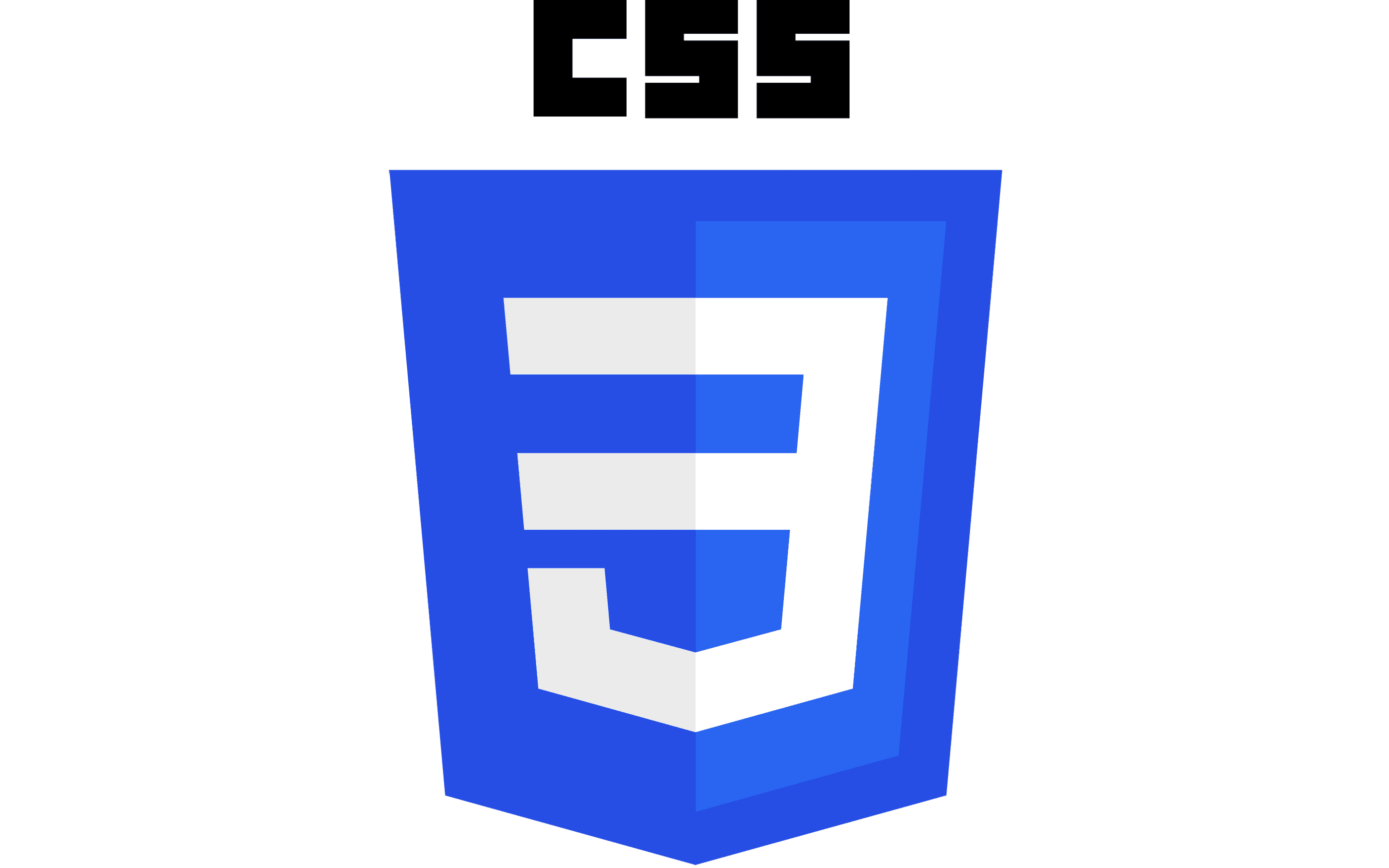 CSS Logo 