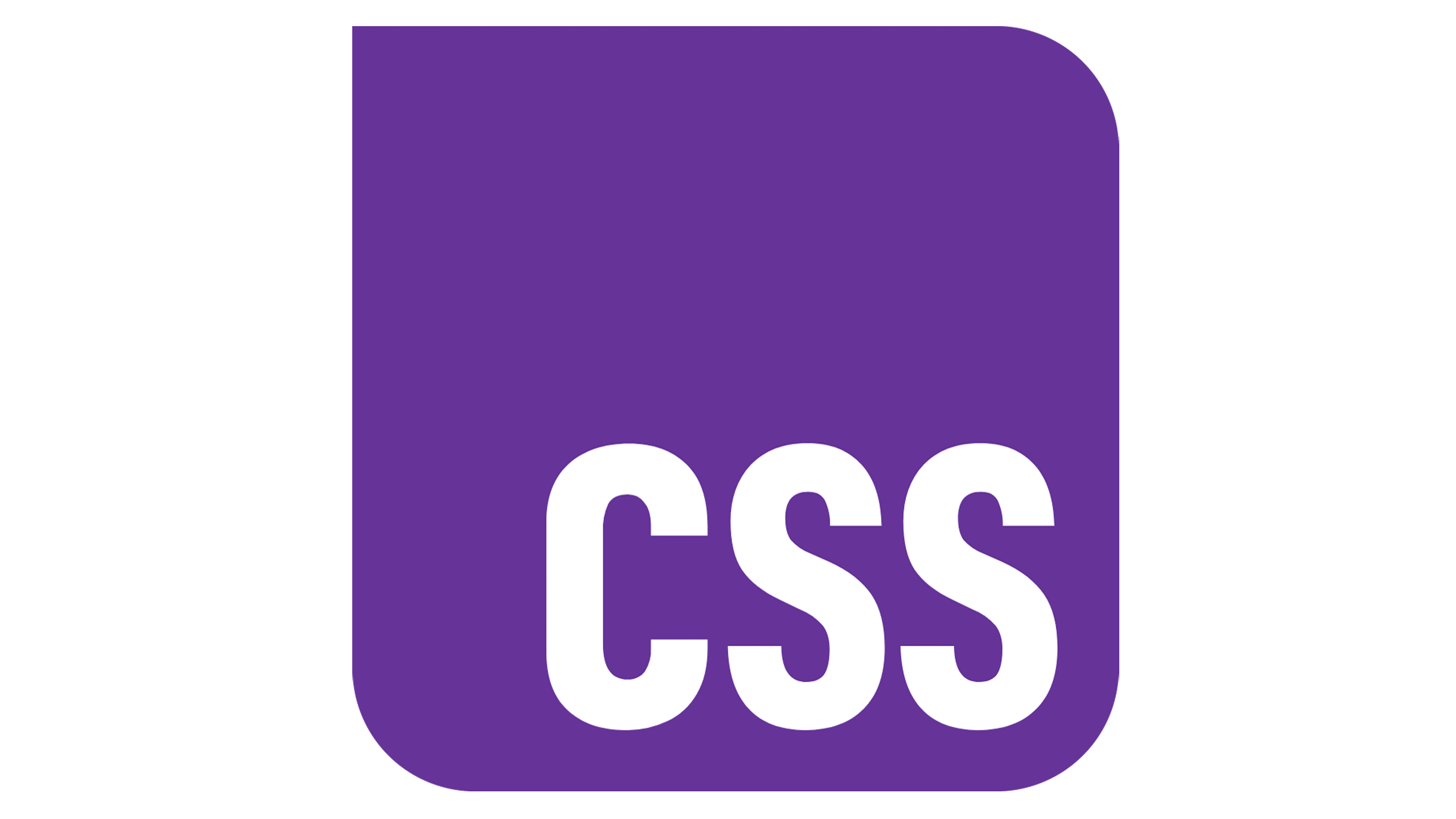 CSS Logo 